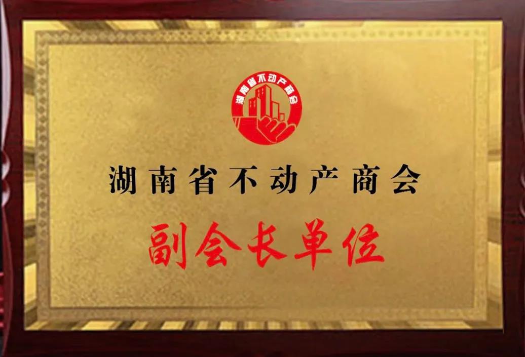 元拓建材集团成为湖南省不动产商会副会长单位 服务会员单位轻松做项目